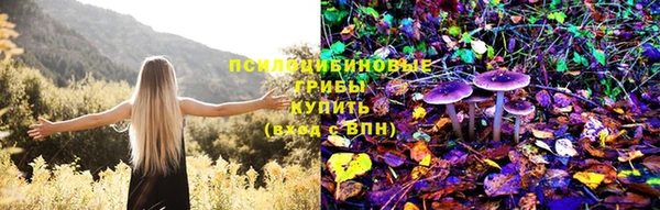 мет Верхний Тагил