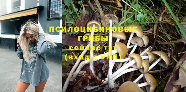 МДПВ Бугульма